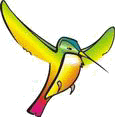Logo colibri.gif